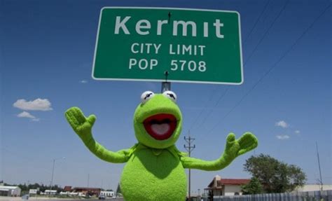 Escort Kermit