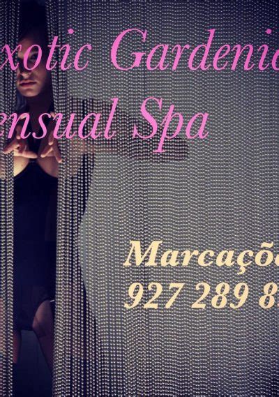 Sexual massage Porto Sant Elpidio