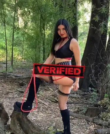 Alexa sexy Encuentra una prostituta Reforma
