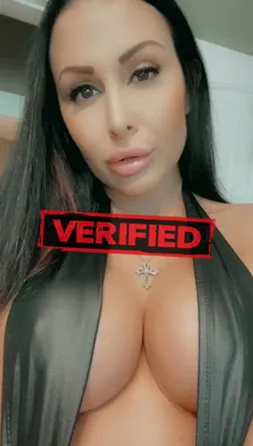 Vanessa tits Prostitute Sjoebo
