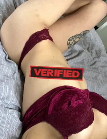 Ashley tits Find a prostitute Hobart